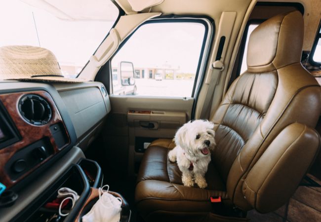RV Insurance